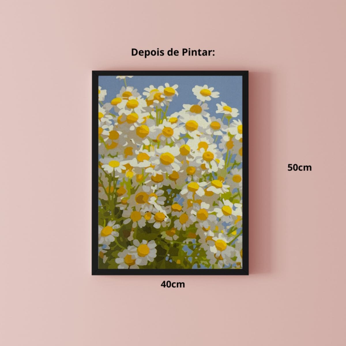 Kit Pintura Numerada em Tela - Margaridas - 40x50cm