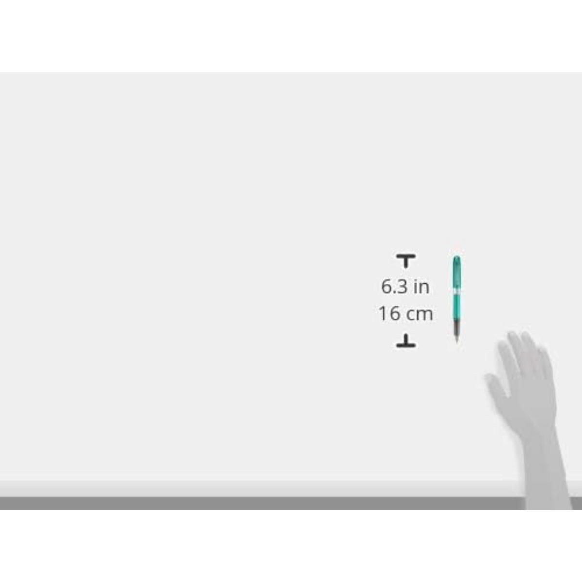 Caneta Tinteiro Platinum Plaisir 0,5 - Teal Green