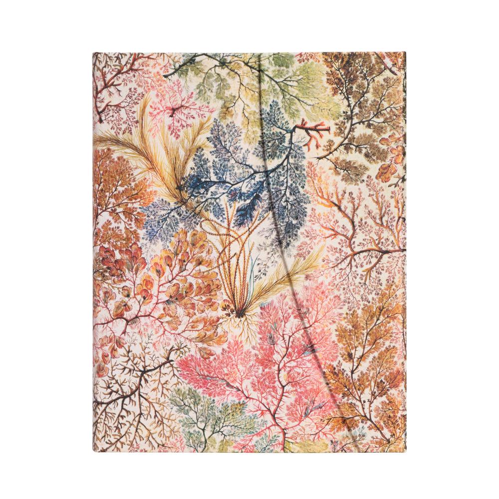 Caderno Paperblanks Ultra - Anemone - Pautado