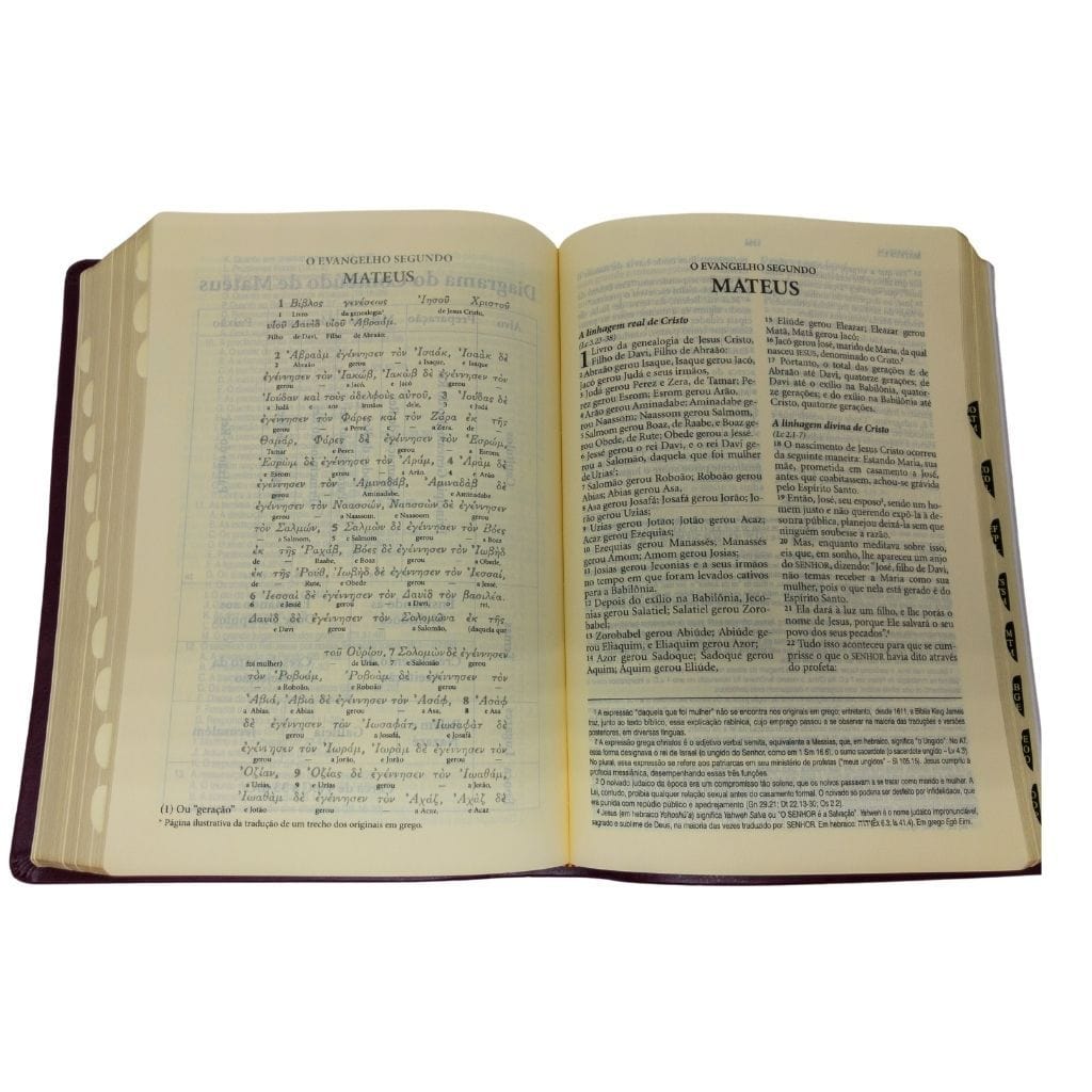 Bíblia King James de Estudo - Edição Comemorativa 400 Anos Livraria Skilo