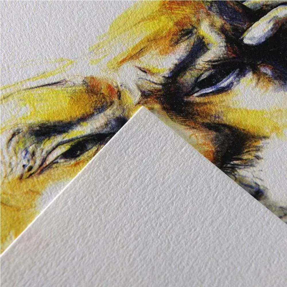 Papel Para Desenho Canson C a Grain A4 - 224g - 30 folhas