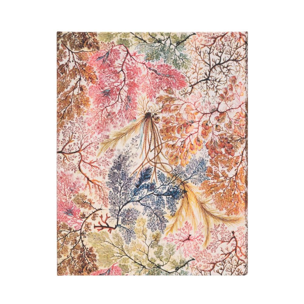 Caderno Paperblanks Ultra - Anemone - Pautado Paperblanks