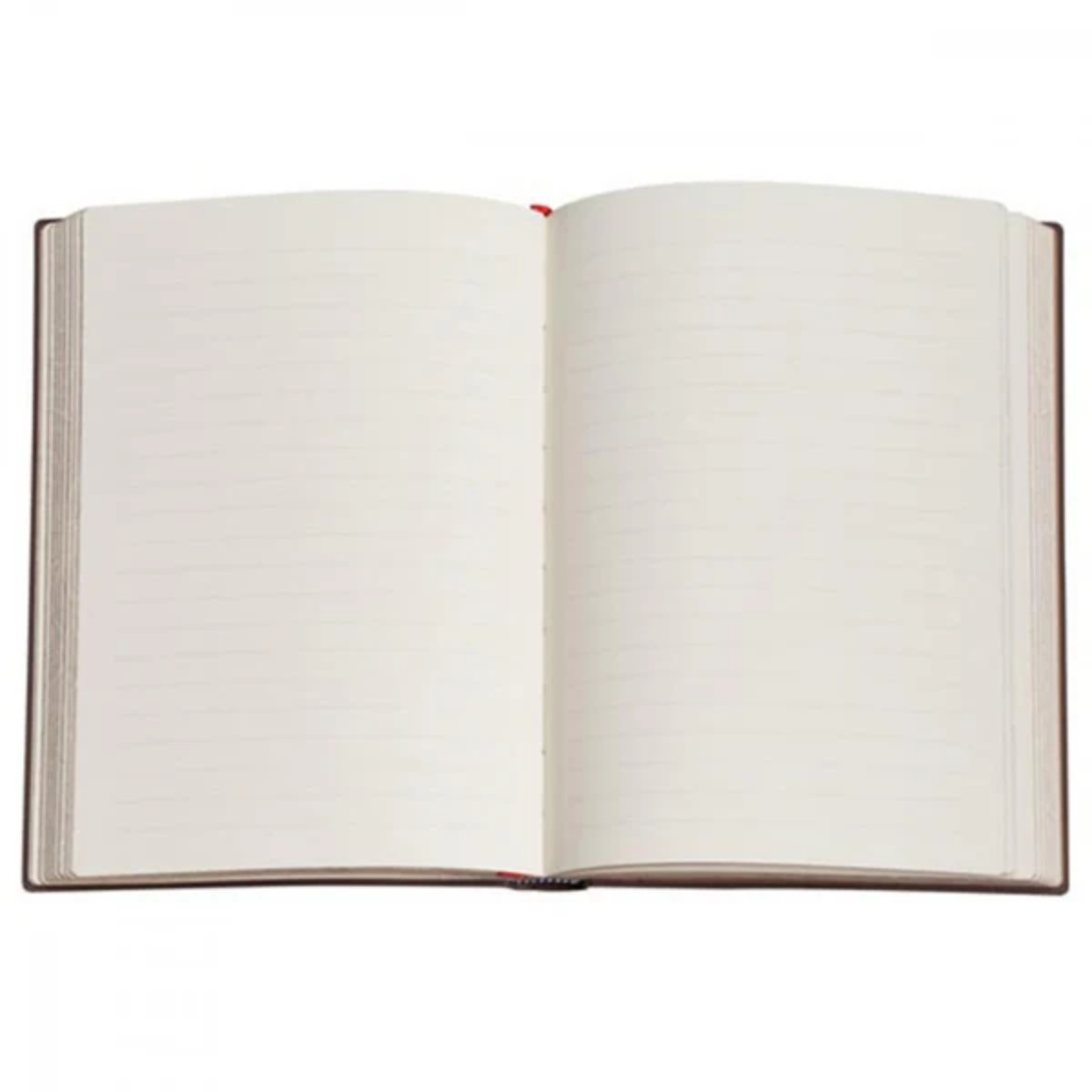 Caderno Paperblanks Ultra - Van Huysum - Pautado Paperblanks