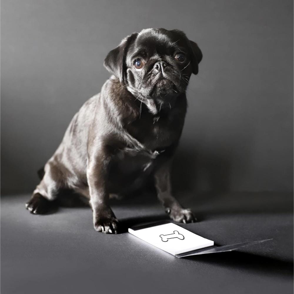 Caderno Rhodia Dot Pocket - Black - 7,5 x 12cm - Pontilhado - 8559C Rhodia