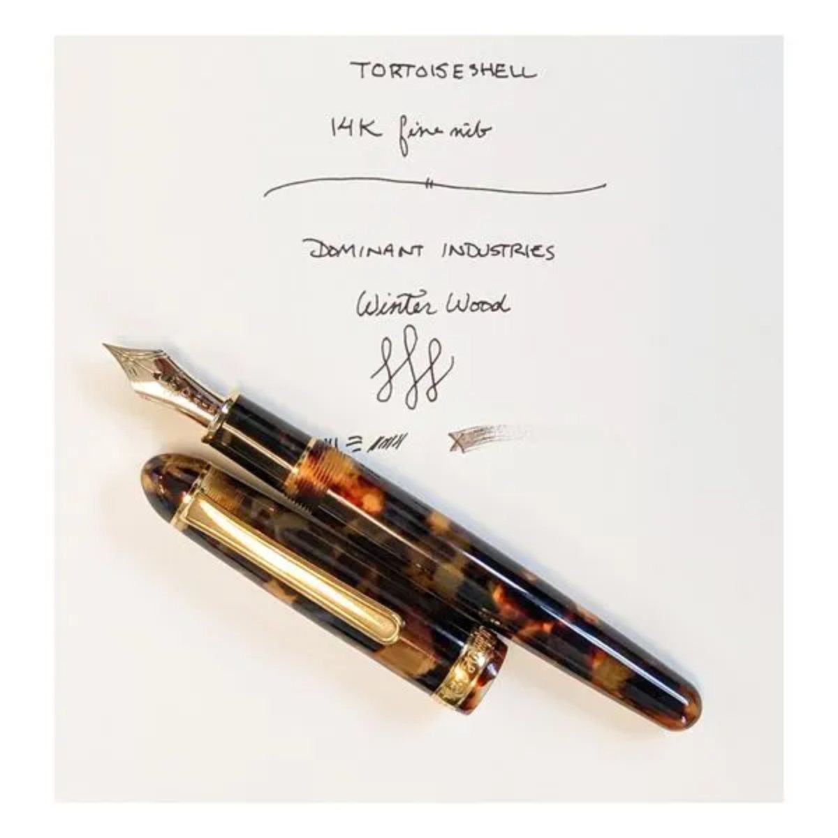 Caneta Tinteiro Platinum 3776 Century - Classic Tortoise -M Livraria Skilo