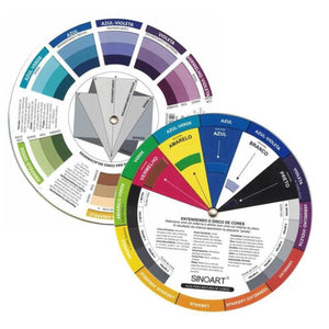 Círculo Cromático Grande 23cm-  Sinoart