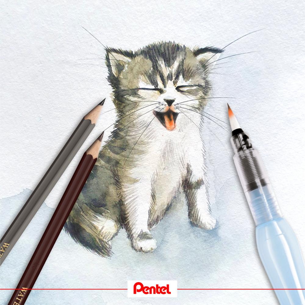 Lápis de Cor Pentel 12 Cores - CB8-12