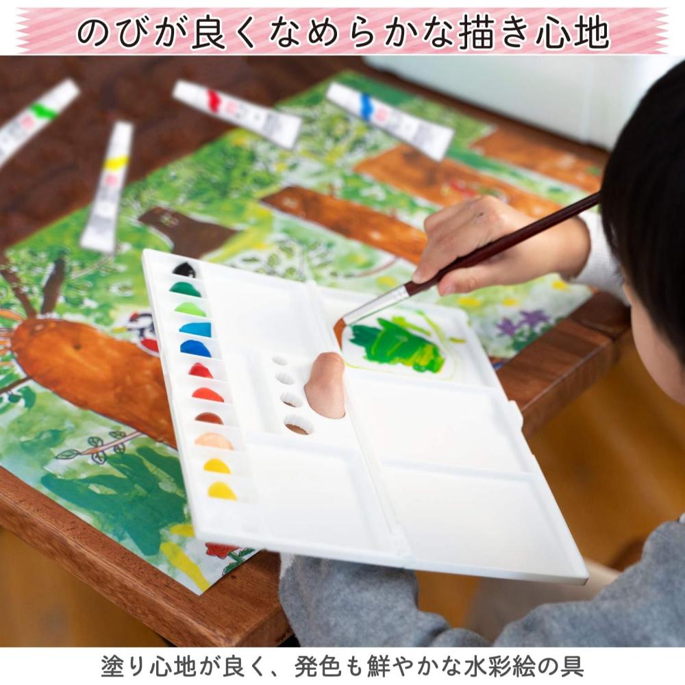 Aquarela Sakura Mat - Aquarela à Base de Água 12 Cores - Uso Profissional EMW-12