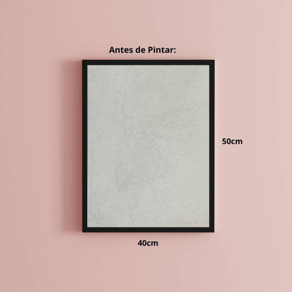 Kit Pintura Numerada em Tela - Bailarina - 40x50cm Sinoart