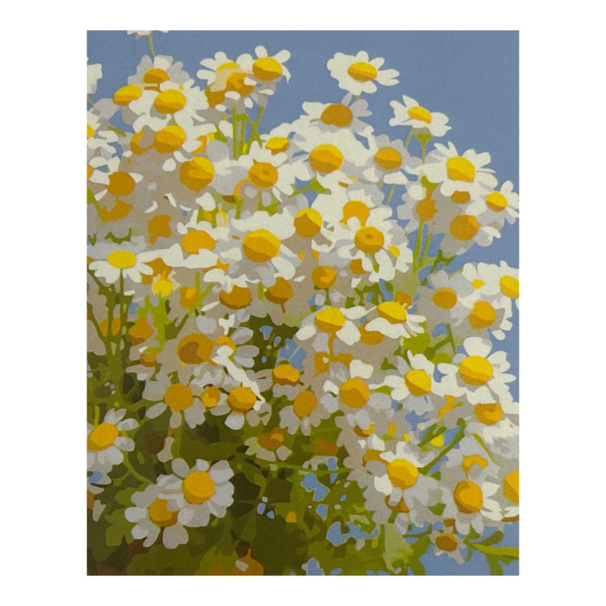 Kit Pintura Numerada em Tela - Margaridas - 40x50cm Sinoart