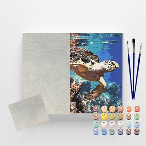 Kit Pintura Numerada em Tela - Tartaruga Marinha - 40x50cm