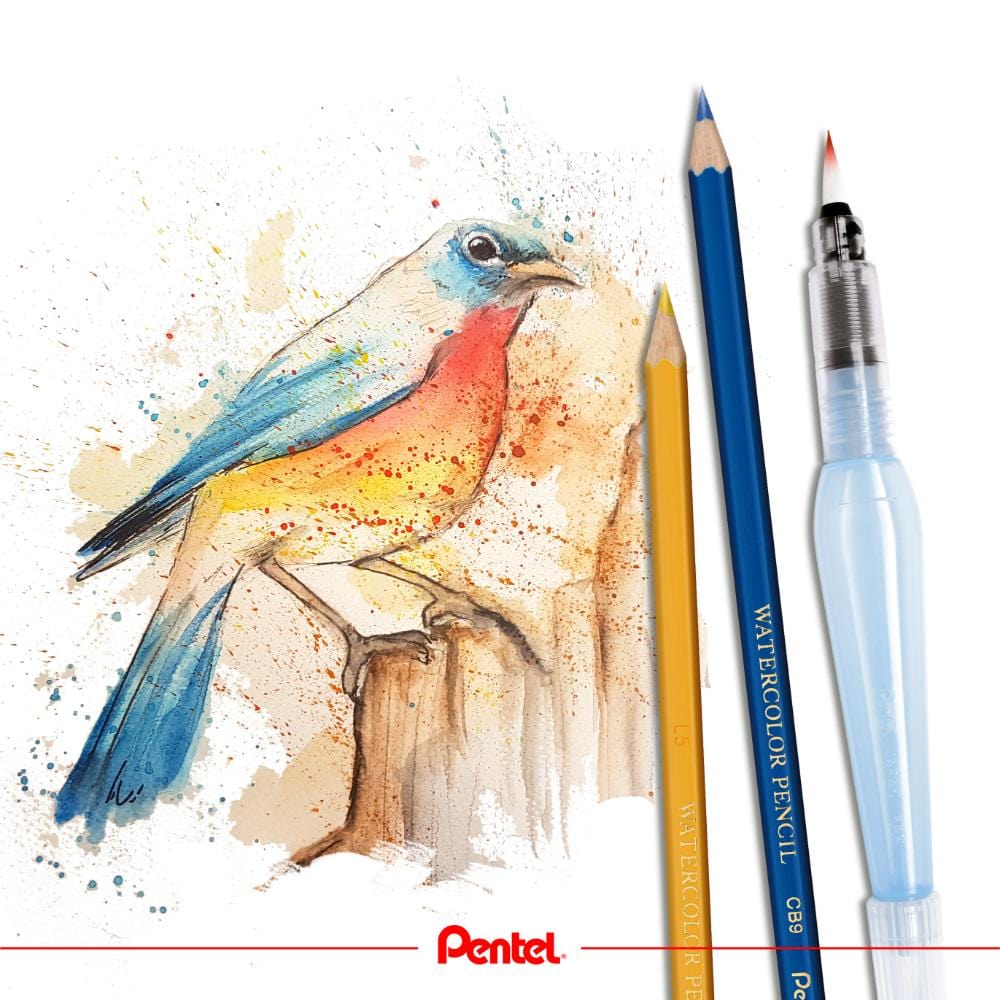 Lápis de Cor Pentel Aquarelável 12 Cores - CB9-12 Pentel