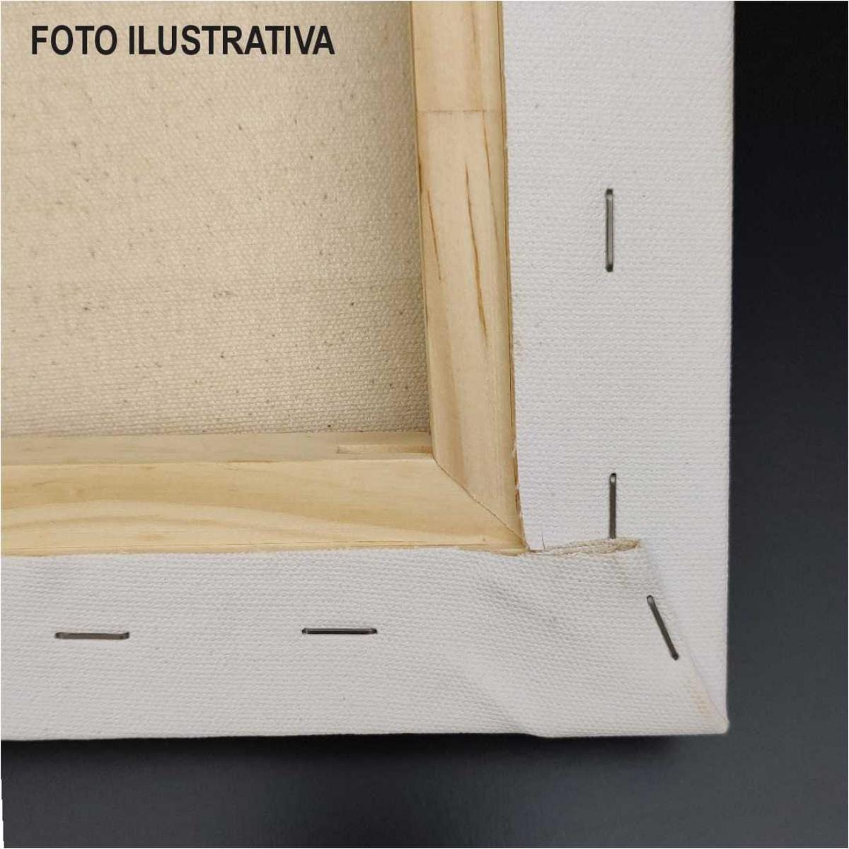 Tela Para Pintura Trident - Studio SN Nacional - 80x90cm Livraria Skilo