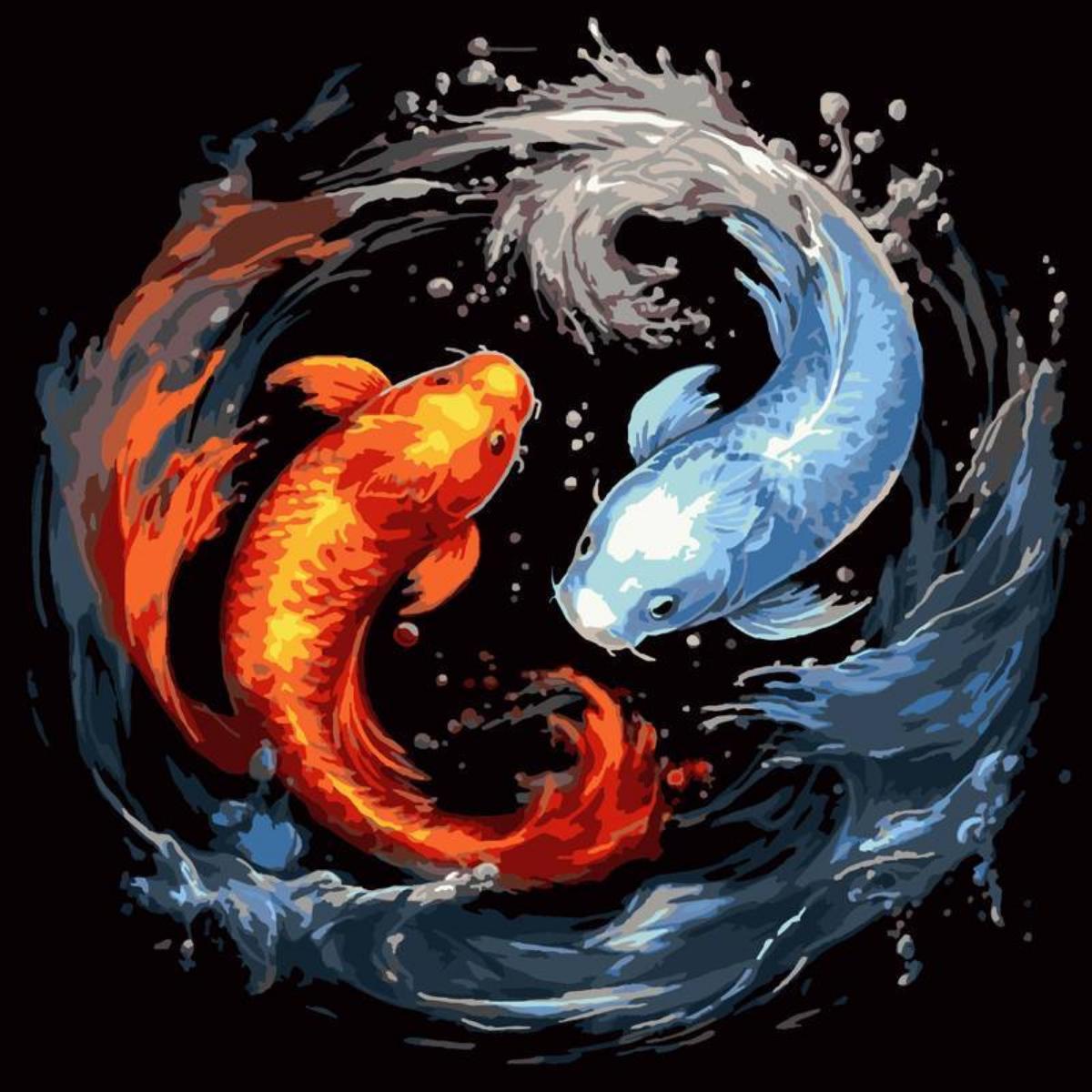 Tela Pintura Numerada Black - 30x30cm- Carpas Coloridas Sinoart