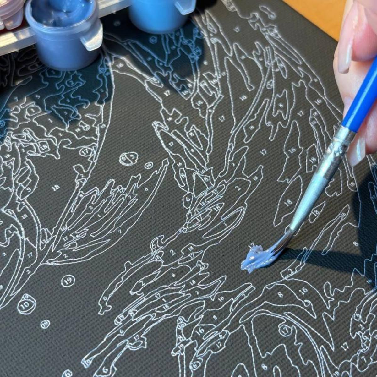 Tela Pintura Numerada Black - 30x30cm - Coruja Sinoart