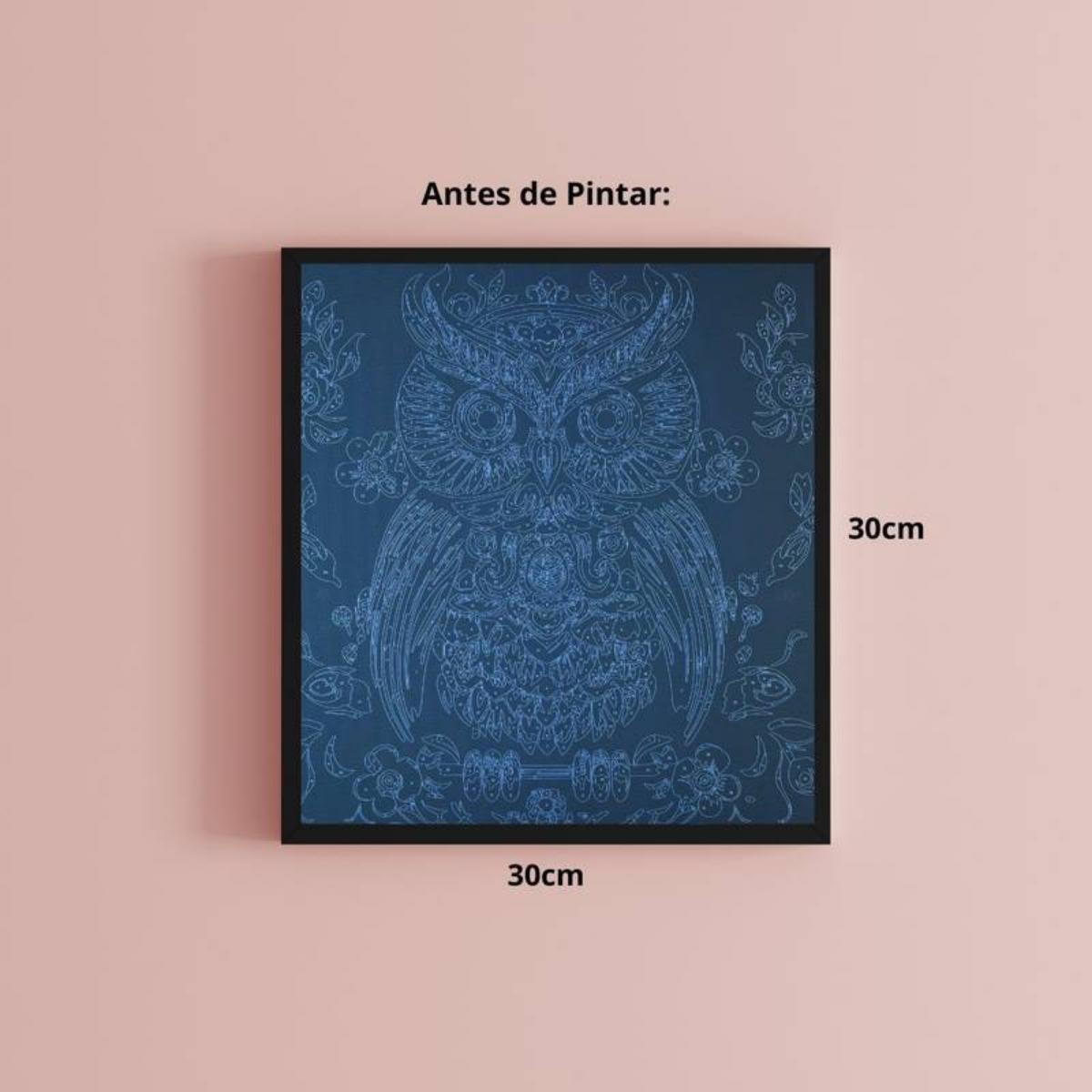 Tela Pintura Numerada Black - 30x30cm - Coruja Sinoart