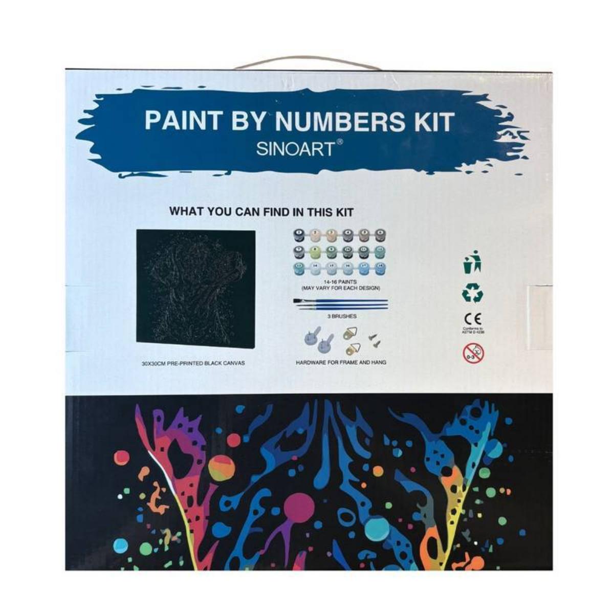 Tela Pintura Numerada Black - 30x30cm - Leão Sinoart