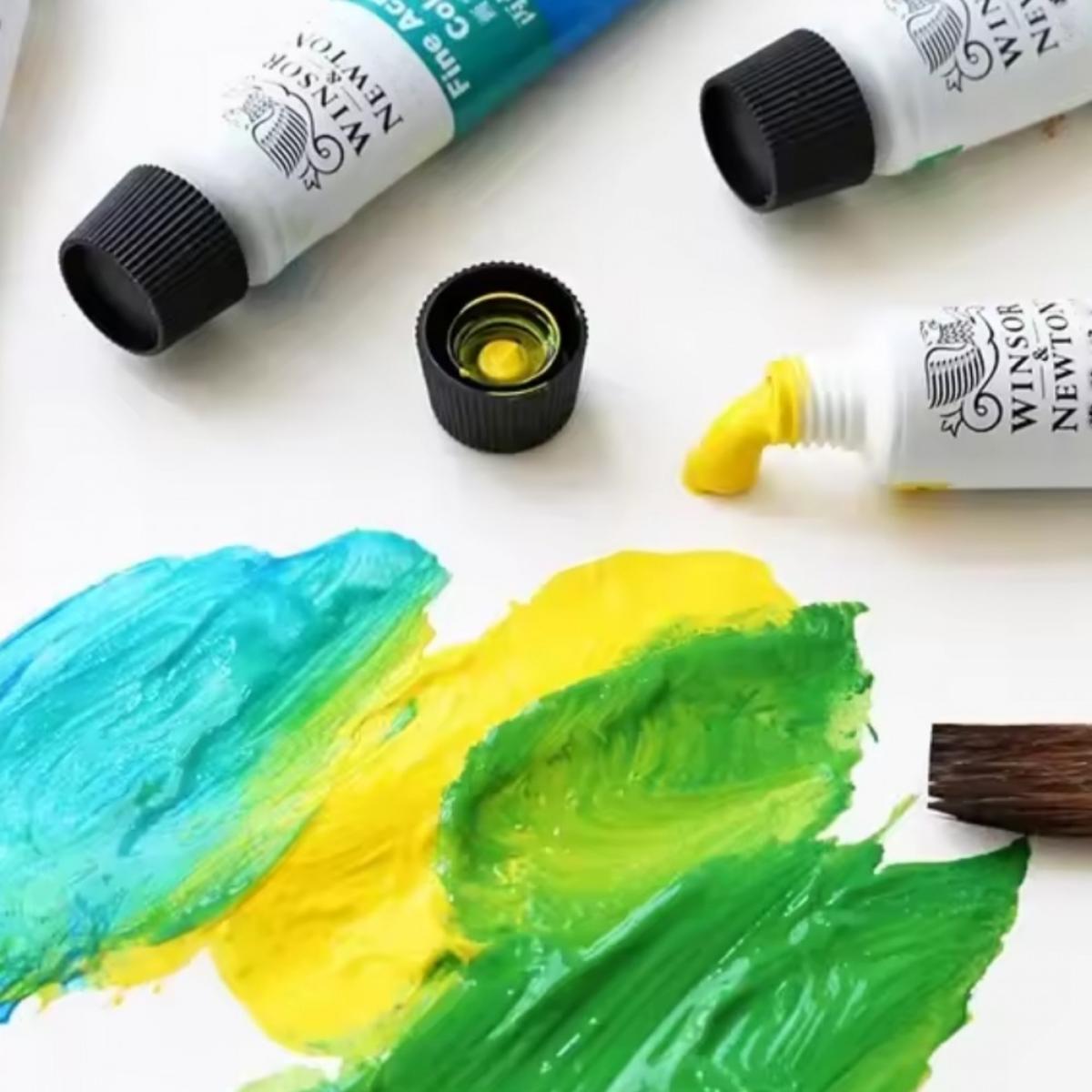 Tinta Acrílica Winsor & Newton Discover - Kit com 12 Cores Livraria Skilo