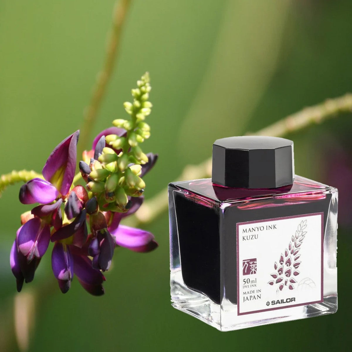 Tinta Para Caneta Tinteiro Sailor Manyo - Kuzu - 50ml Sailor