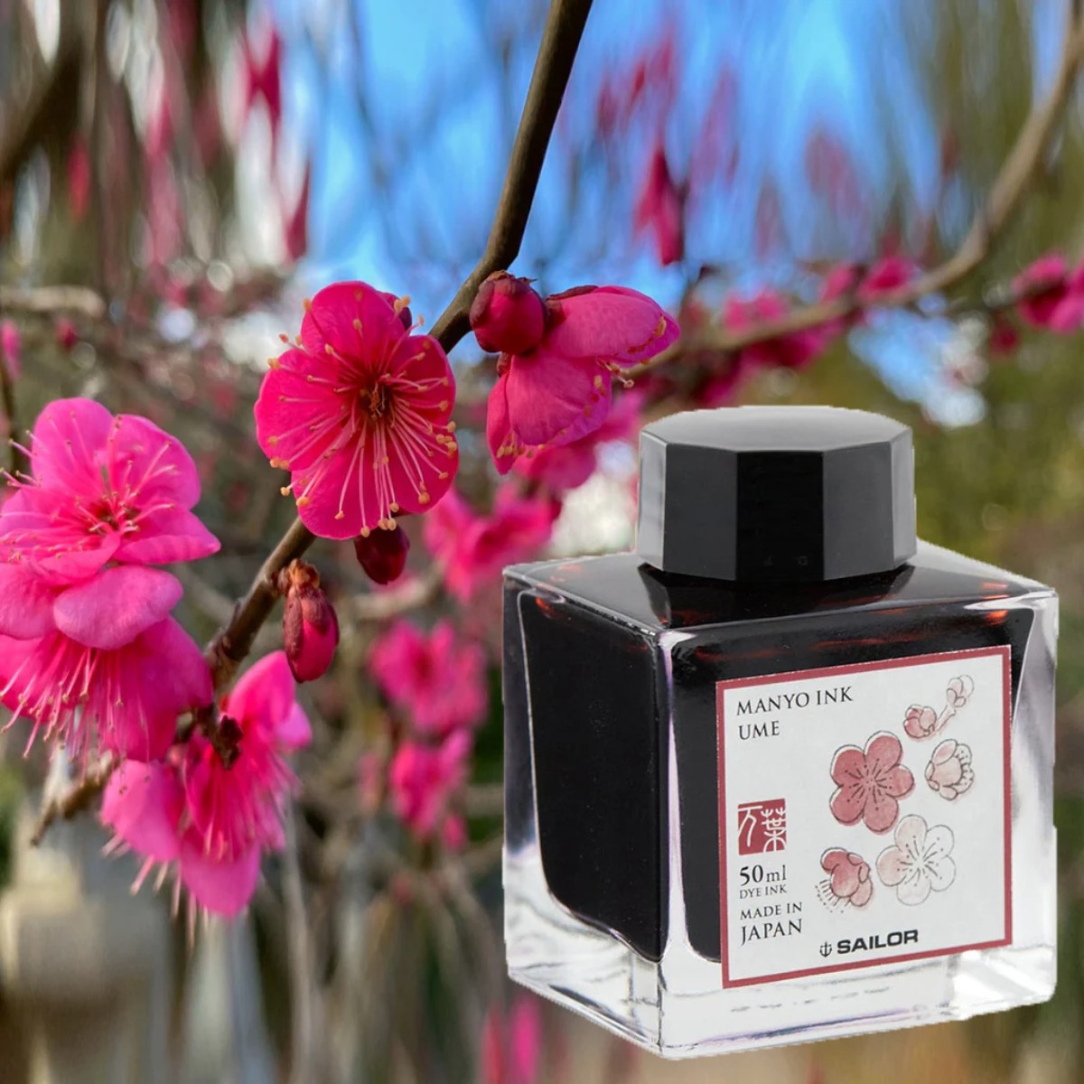 Tinta Para Caneta Tinteiro Sailor Manyo - Ume - 50ml Sailor
