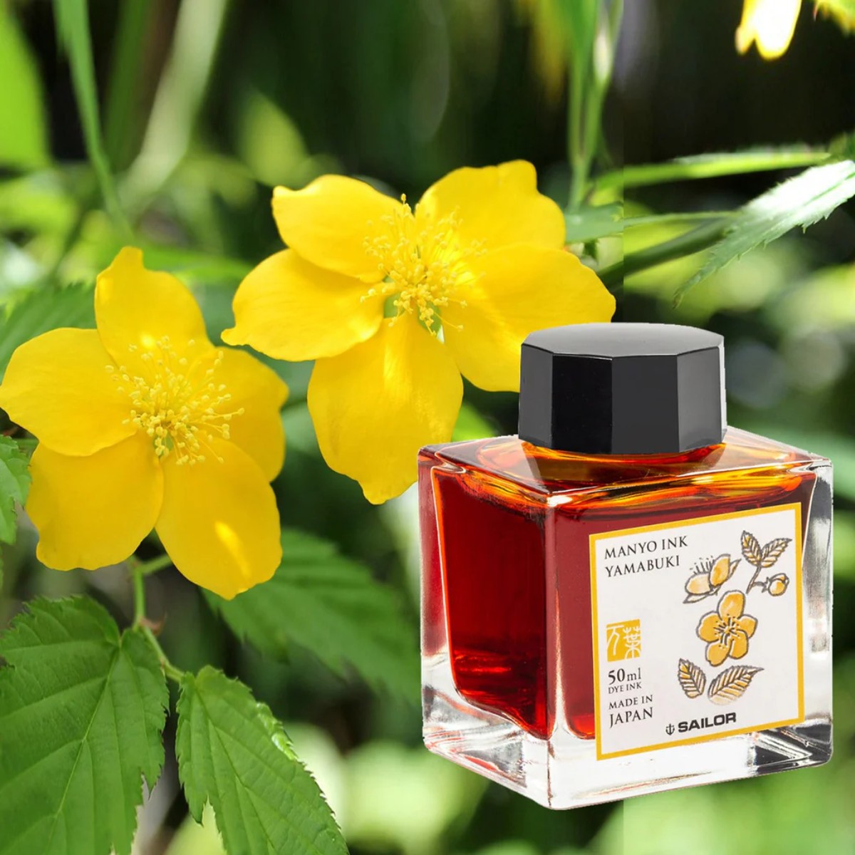 Tinta Para Caneta Tinteiro Sailor Manyo - Yamabuki - 50ml Sailor